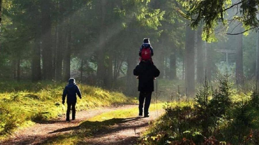 3 Kroki Do Lasu Polanica-Zdrój Buitenkant foto